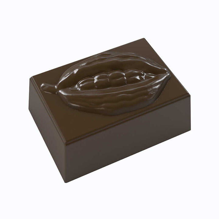 Rectangle Praline with Cocoa Bean Mould No: 66